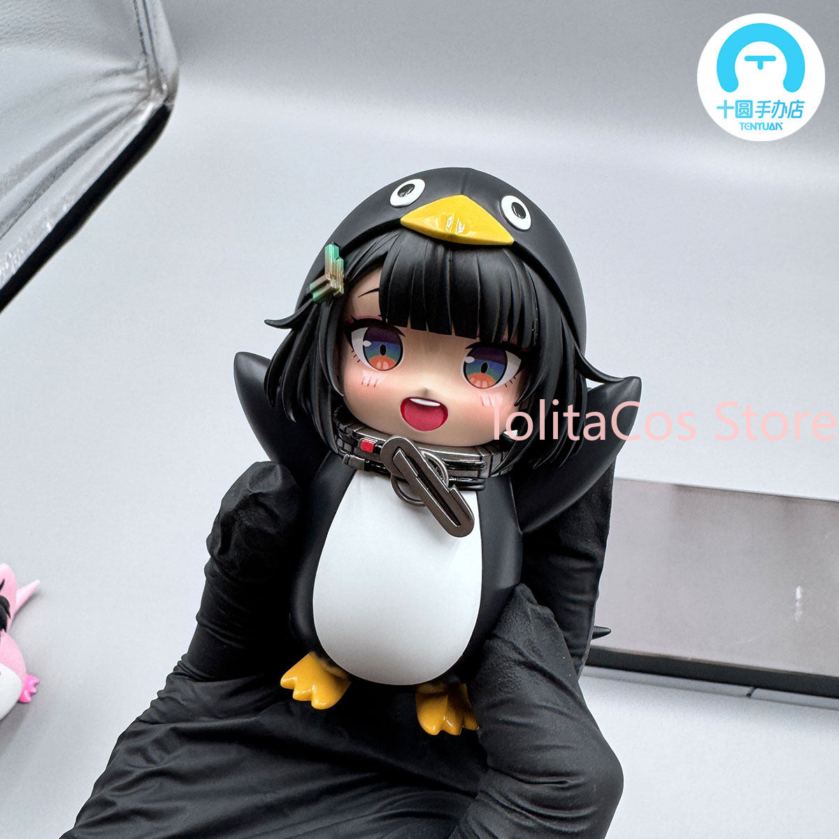 Arknights: Endfield Endministr - Anime Cosplay Sus avis et prix
